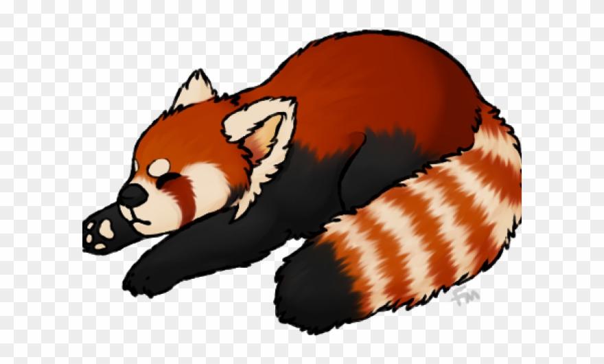 Red Panda Clipart Transparent Background - Red Panda No Background - Png Download