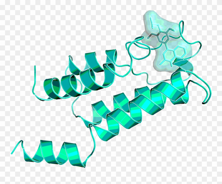 Brd9 With Bi 7273, As Observed By X Ray - Graphic Design Clipart