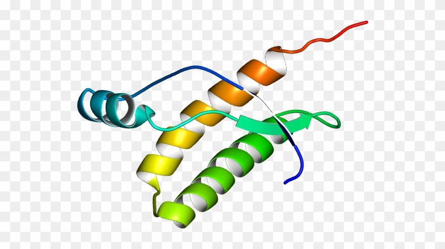 Database Information Clipart