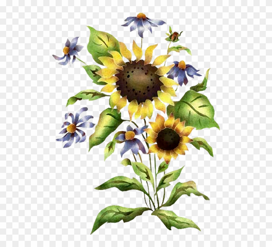 Sunflowers - Sunflower Clipart