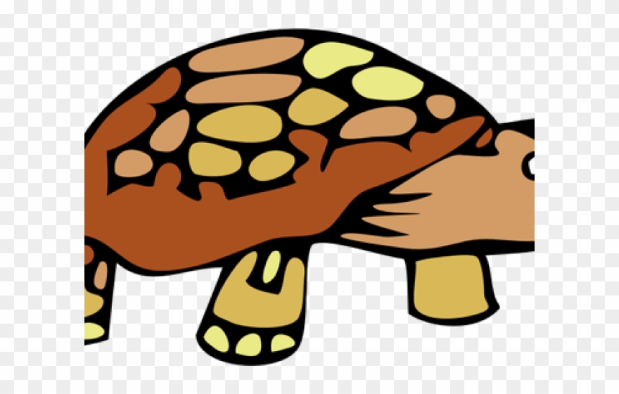 Desert Turtle Cartoon Clipart