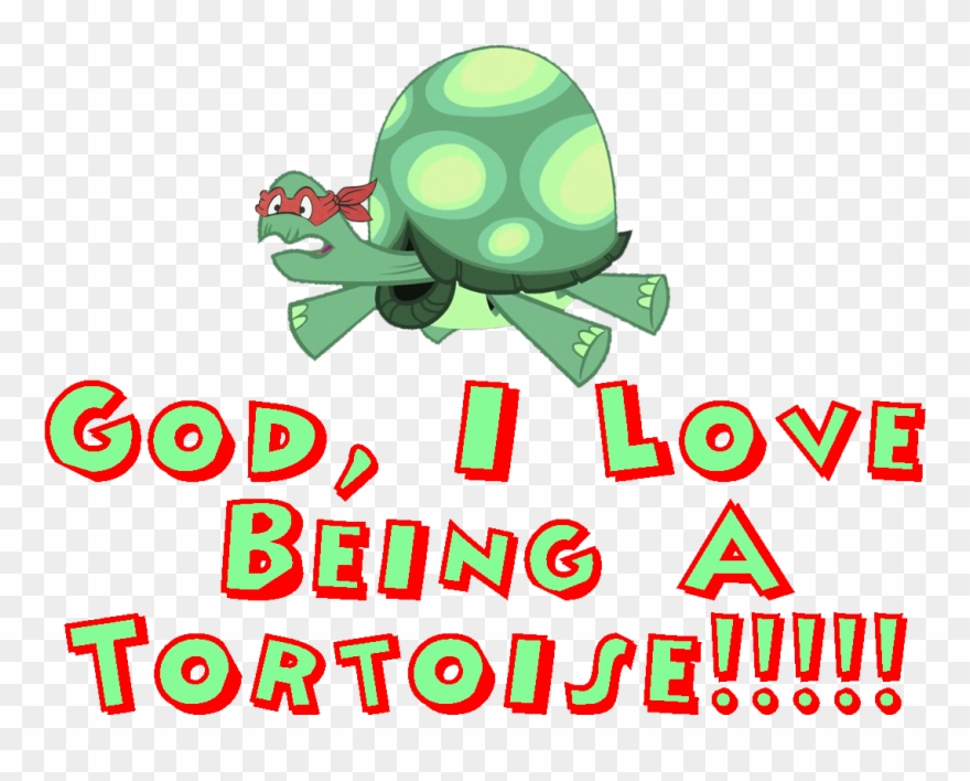 Beong A Tortoie Turtle Text Clip Art Font Product - Camping Polleur - Png Download