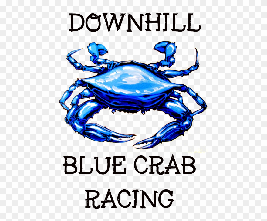 Crabs Clipart Blue Crab - Chesapeake Blue Crab - Png Download