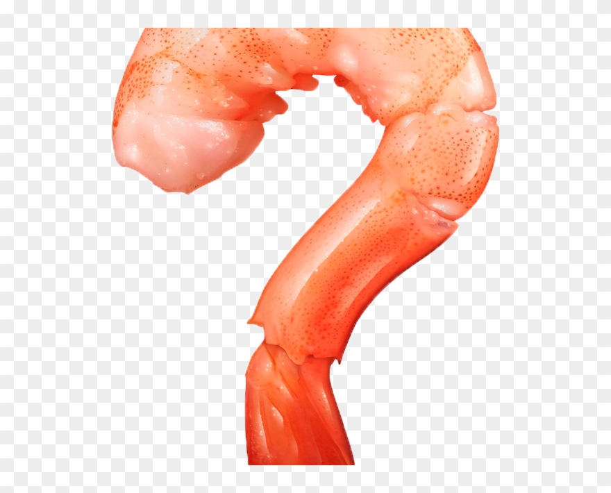 Pastillas Para La Alergia A Los Mariscos Clipart