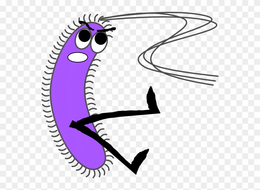 Transparent Background Bacteria Clipart - Png Download