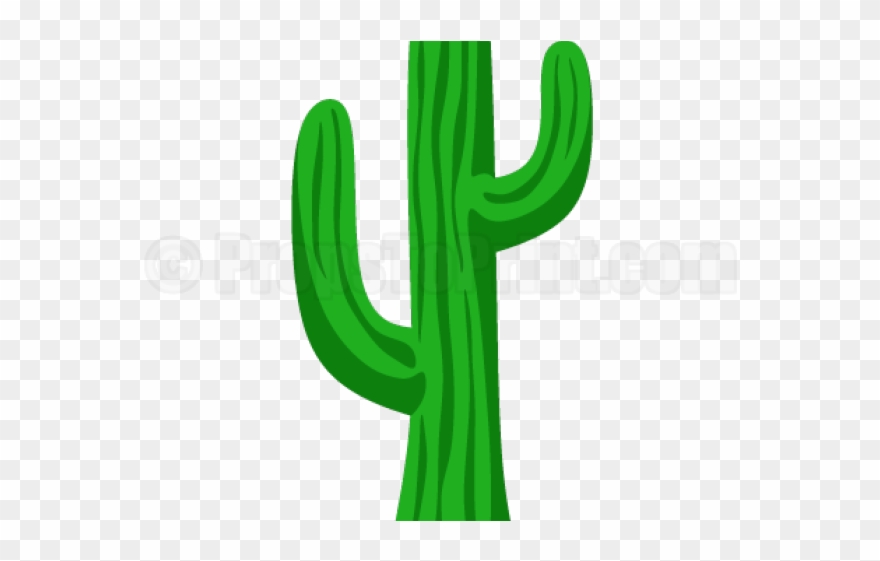 Cactus Clipart Printable - Illustration - Png Download