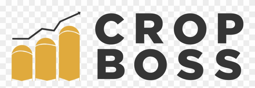 Graphic Design Clipart