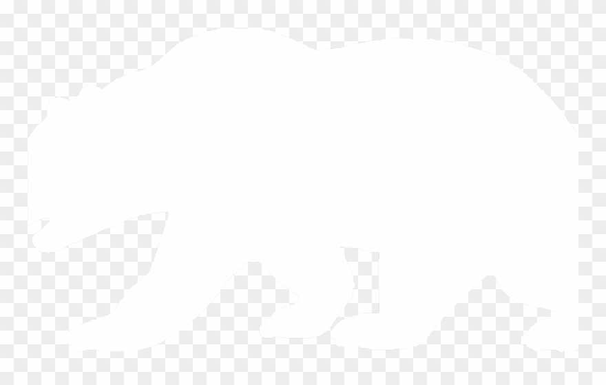 Bear Only White Clipart