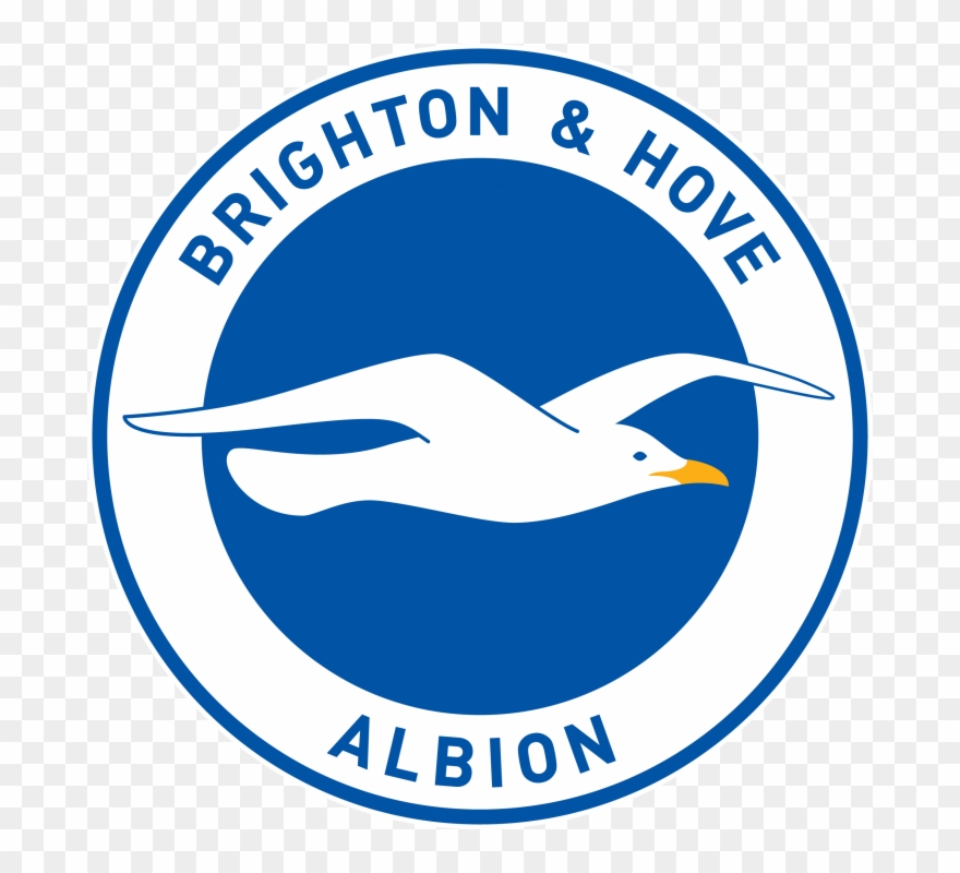 Seagulls “unfairly Tarnished” By Minimum Wage Offenders - Brighton And Hove Albion Logo Clipart