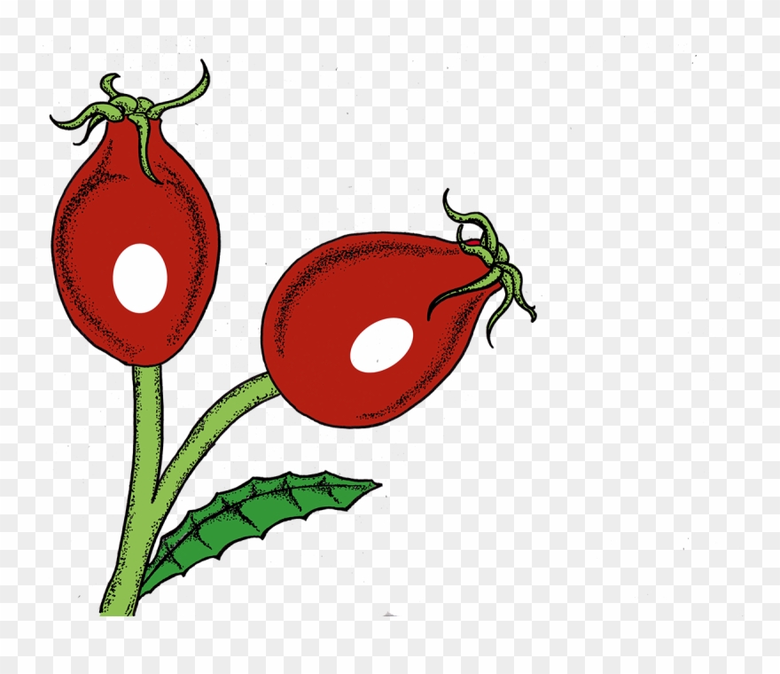 Other Ideas Of The Logo Composition Were Including Clipart