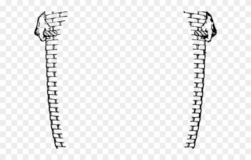 Shop Clipart Grocery Store - Png Download