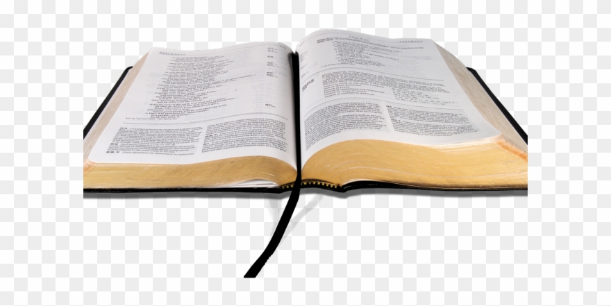 Ivy Clipart Open Bible - Open Bible Transparent Background - Png Download