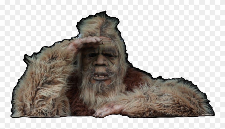 A - Punxsutawney Phil Clipart