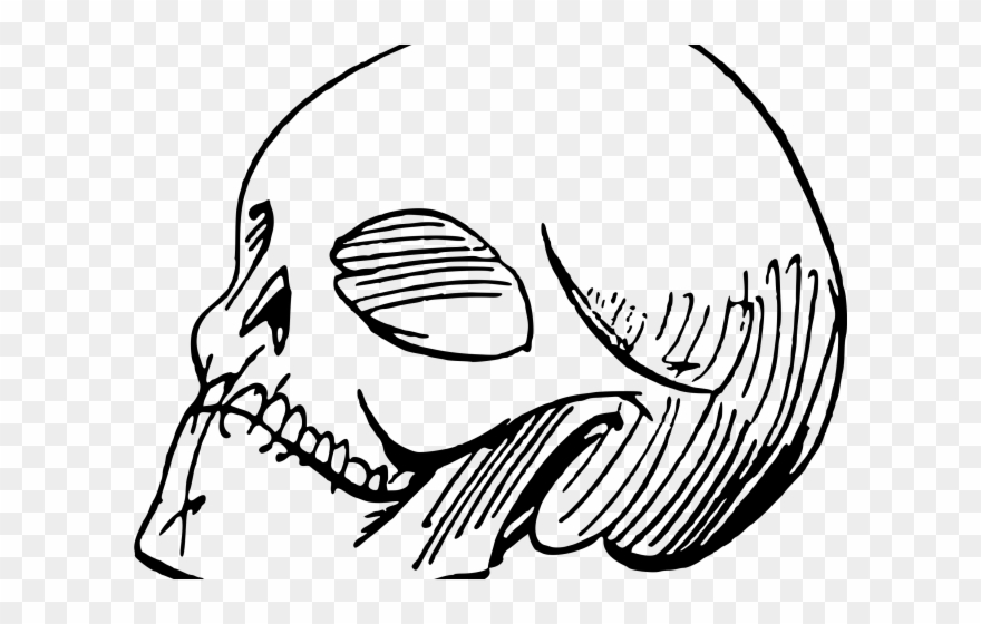 Sketch Clipart Skull - Poeta Dibujo - Png Download