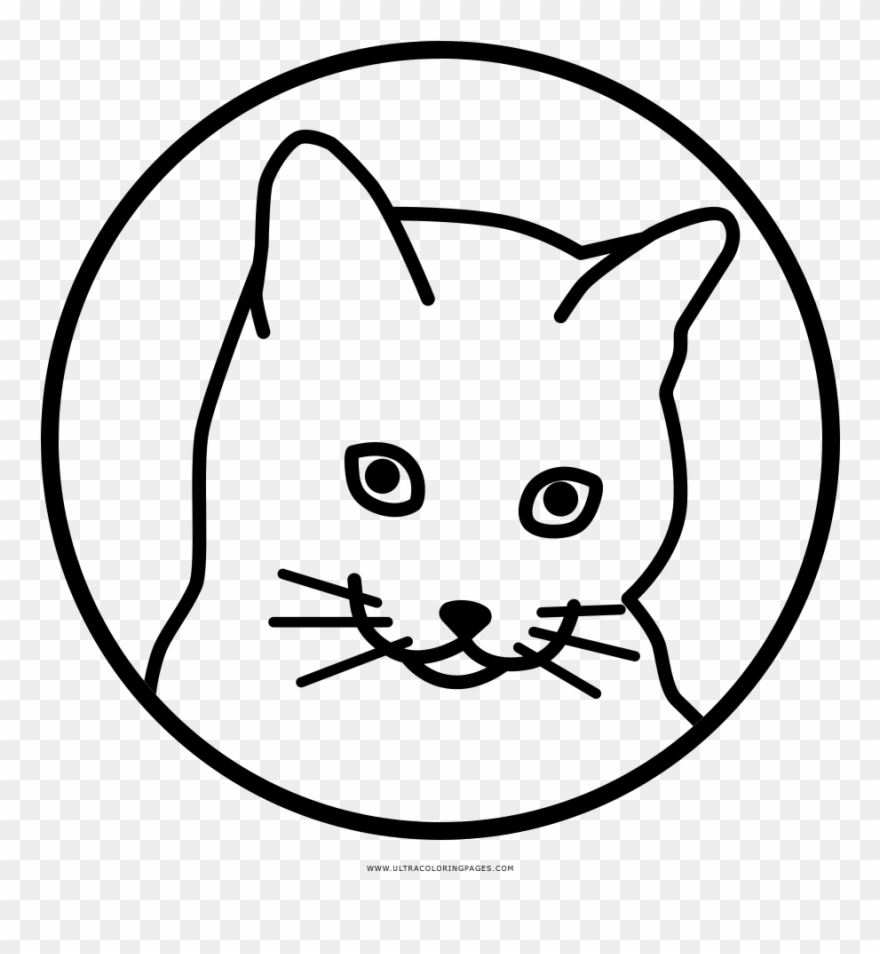 Wunderbar Katze Ausmalbilder - Cat Clipart