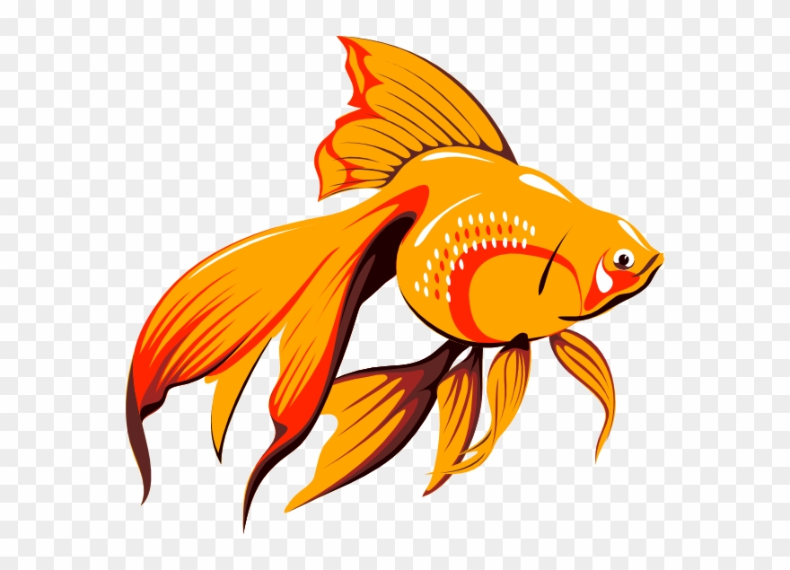 Clipart Of Fish, Article And Ago - Fish Asian - Png Download