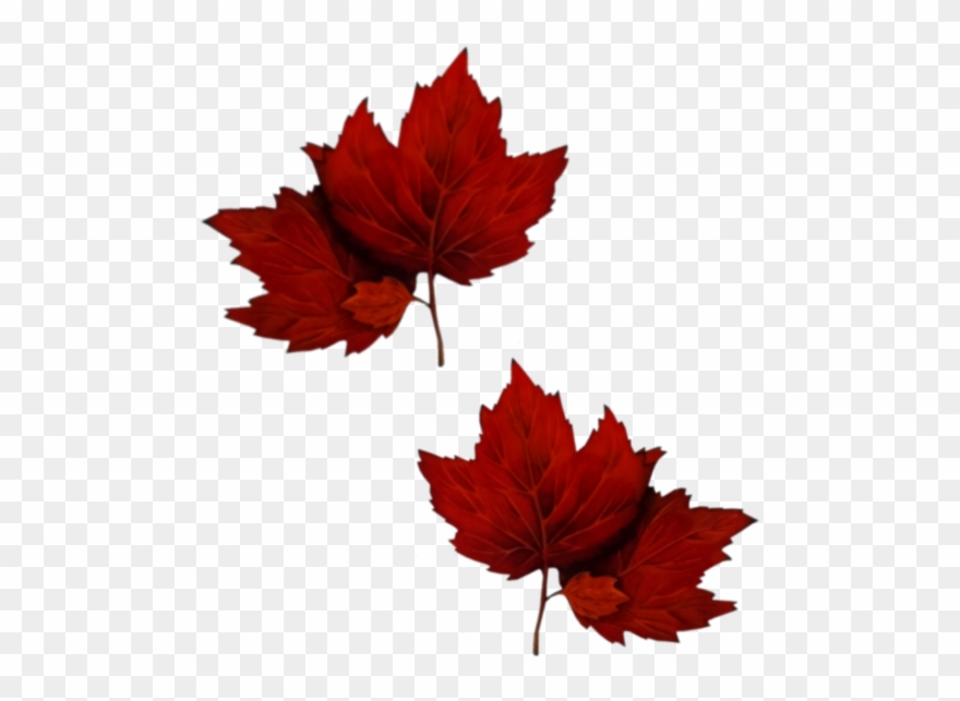 Tubes Arbres Et Verdures - مساء الخير بذكر الله Clipart