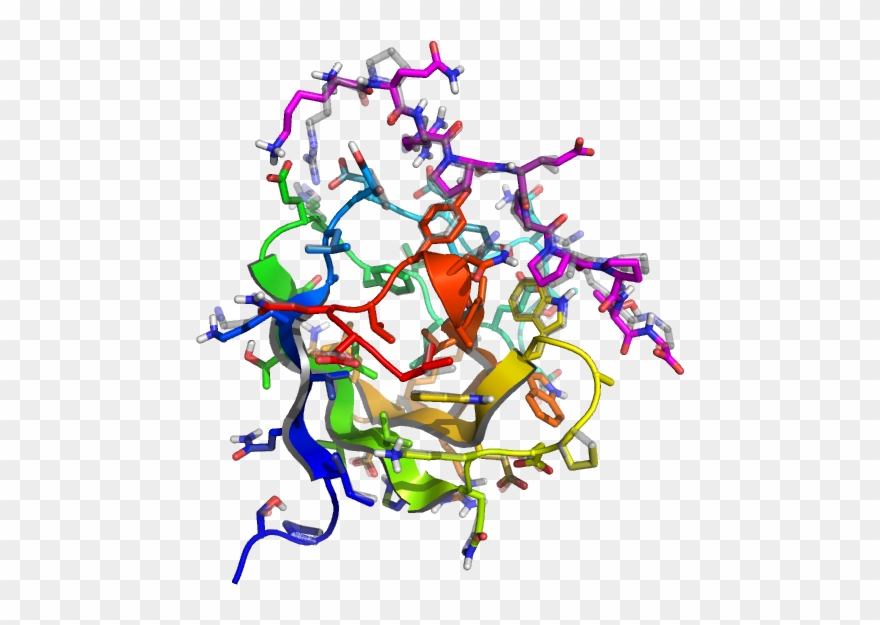 The Resulting Structure - Graphic Design Clipart