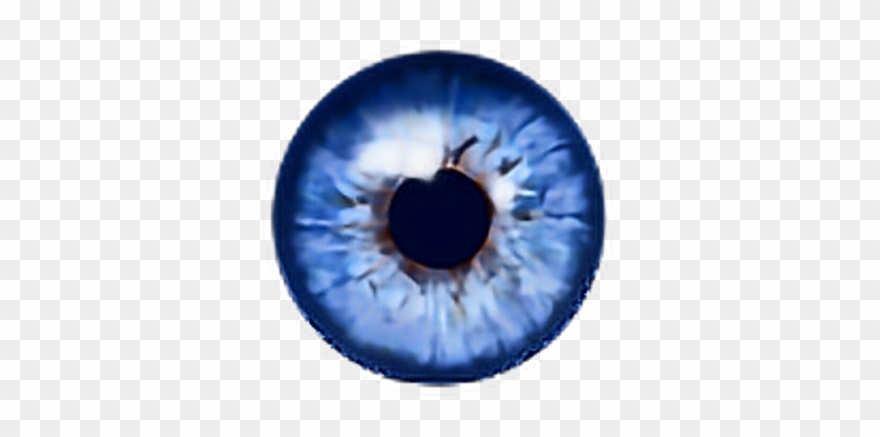 Eye Human Egg Blue Auge Aug Picsart Eyes Eyeart Eyesclo - Transparent Anime Blue Eyes Clipart