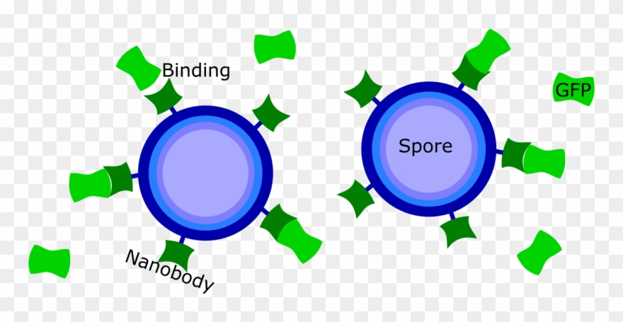 Smiley Face Smiley Face Clipart