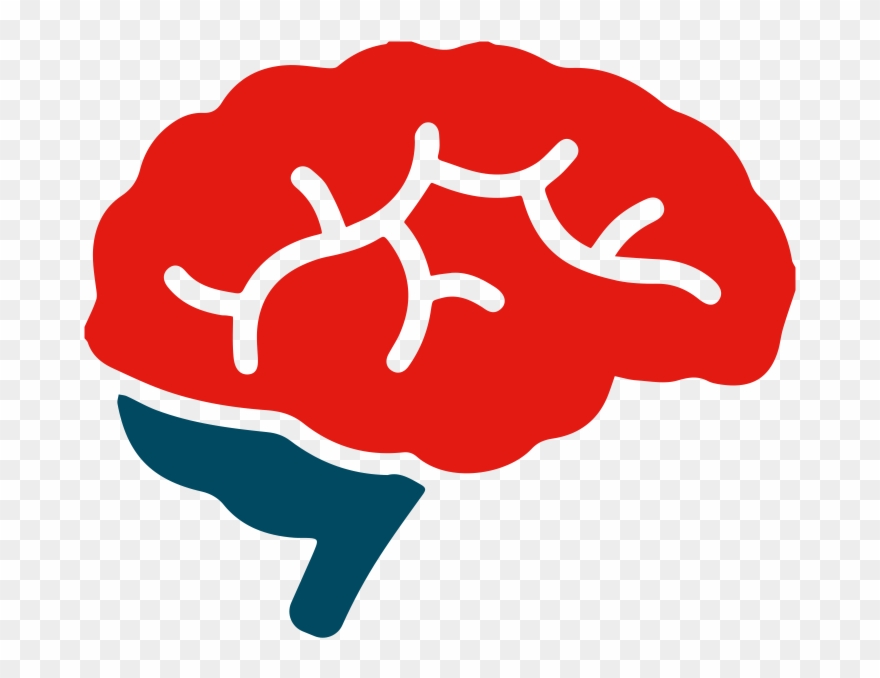 Basen Balance - Brains Clipart