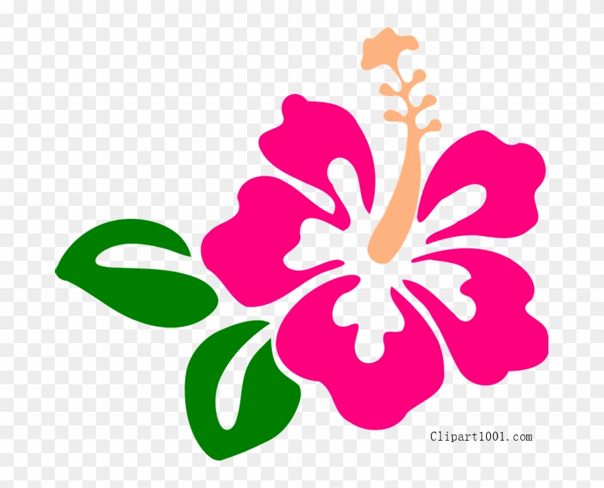 Download - Hibiscus Clip Art - Png Download