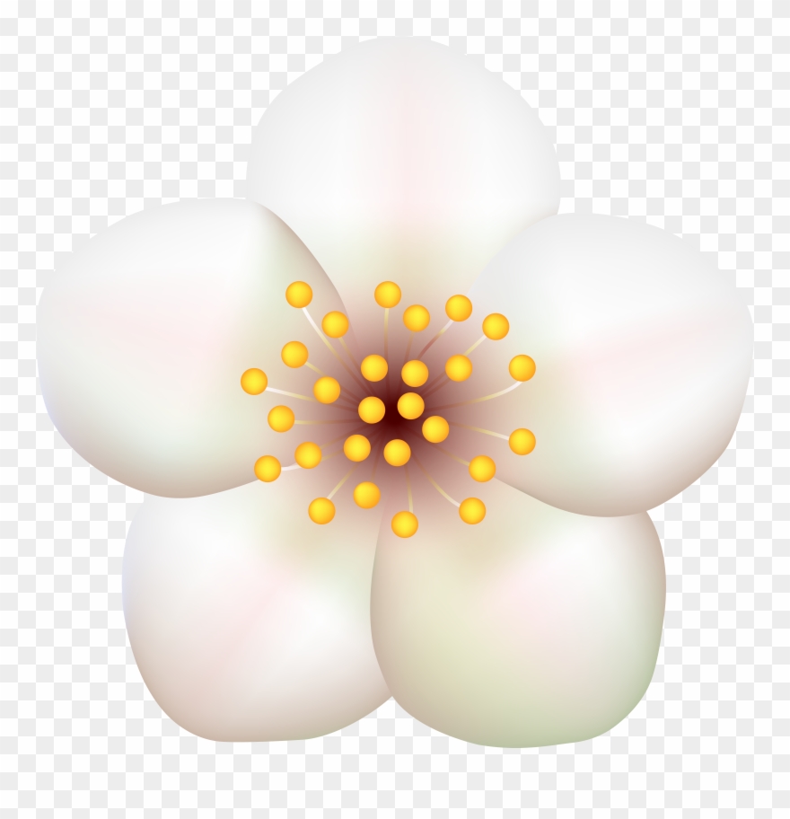 Spring Flowers Clip Art - Png Download
