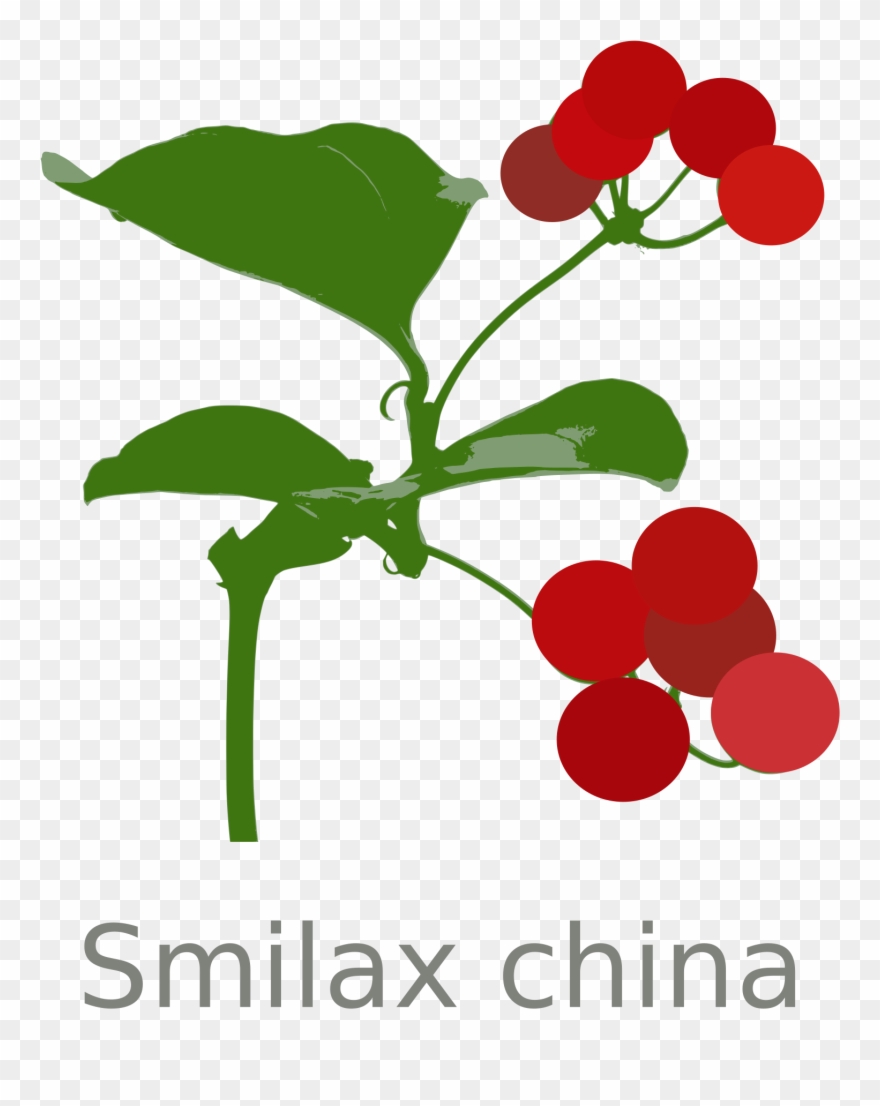 Big Image - Gilliflower Clipart