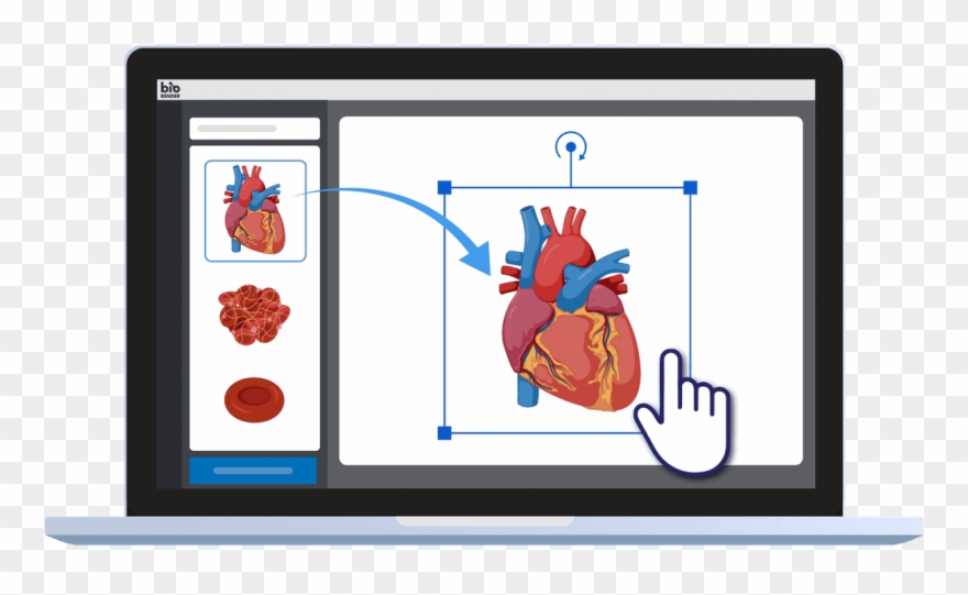 Drag And Drop Science Icons To Create Science Figures - Slam Dunk Clipart