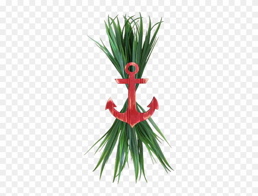 Sea Grass Clipart Grass Root - Heliconia - Png Download