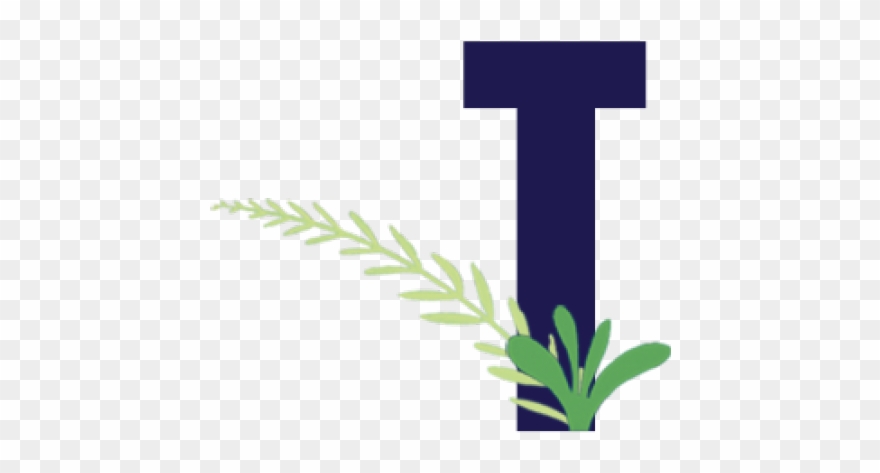 Sea Grass Clipart Damo - Cross - Png Download