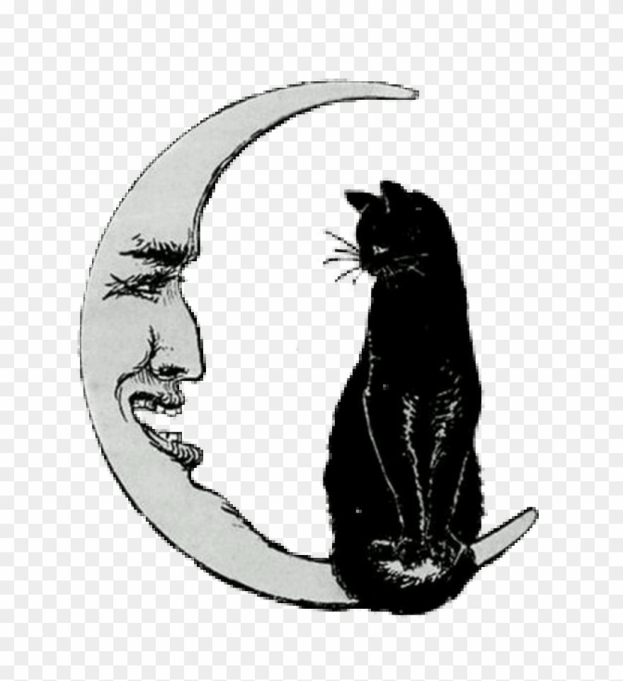 Cat On The Moon Clipart