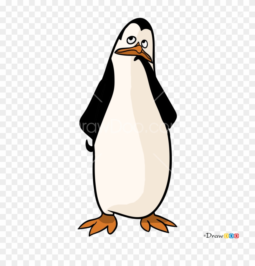 Adã©lie Penguin Clipart