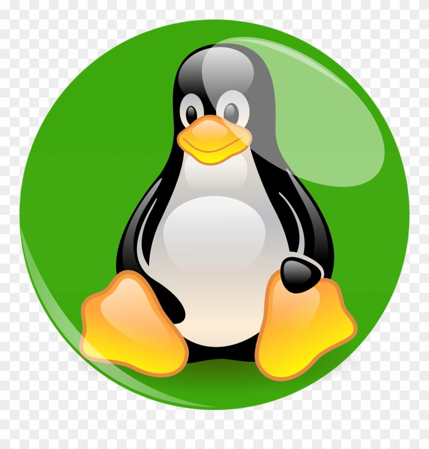 When Selecting A Linux Server Operating System Also - Redhat Penguin Clipart