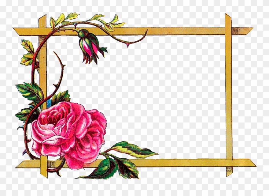 Digital Clipart Craft Rose Border Download - Png Download