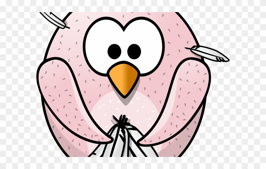 Turkey Bird Clipart Sad - Birds No Feathers Cartoon - Png Download