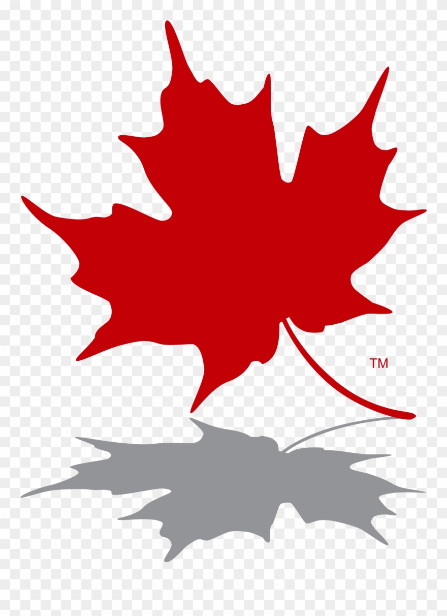 Maple Leaf Logo Red - Maple Leaf Logo Png Clipart