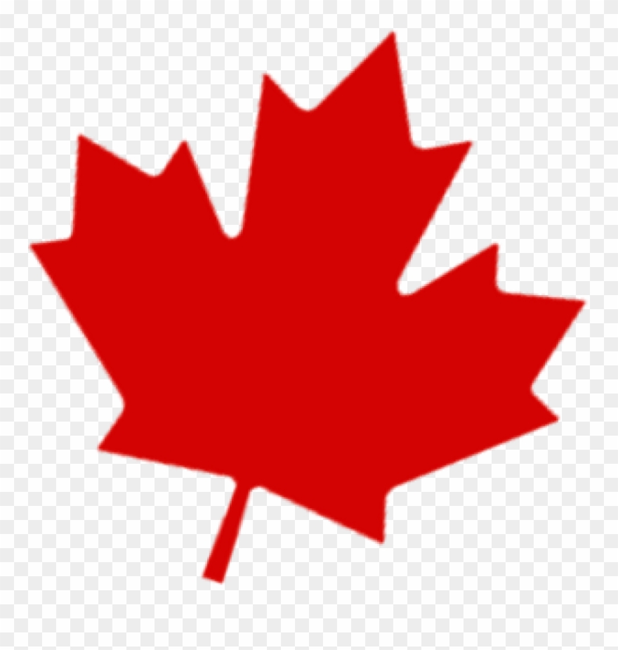 850 X 845 6 - Red Maple Leaf Transparent Background Clipart