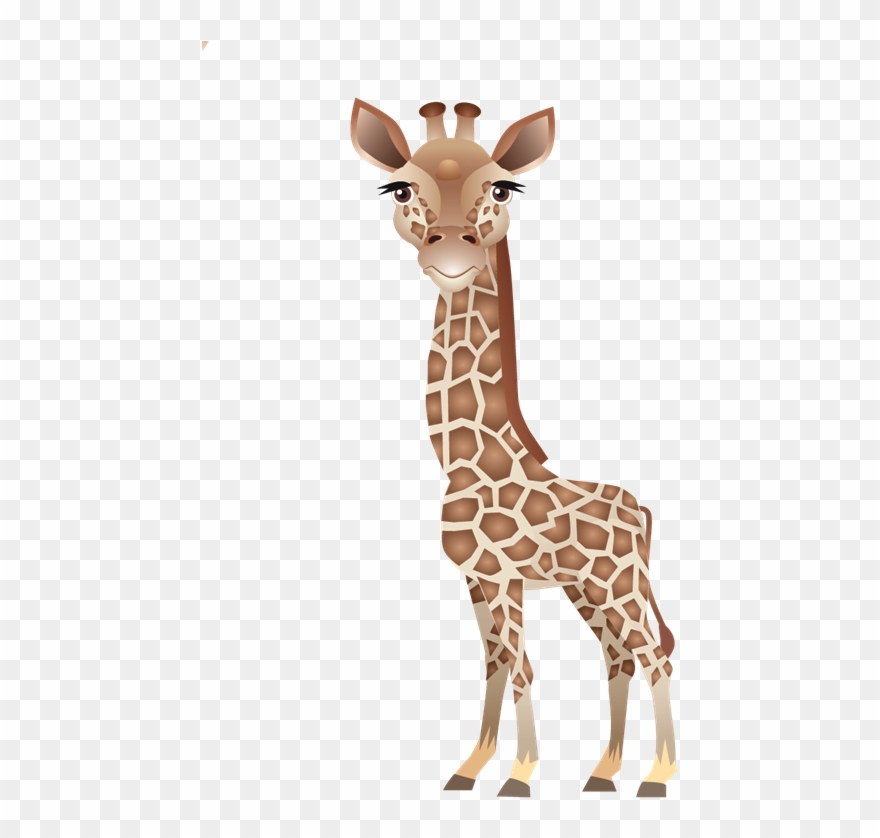 Clip Art Leopard About Giraffes Northern - Giraffe - Png Download