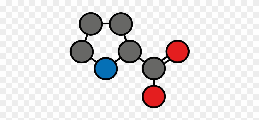 Proline N = 20 (5 - Circle Clipart