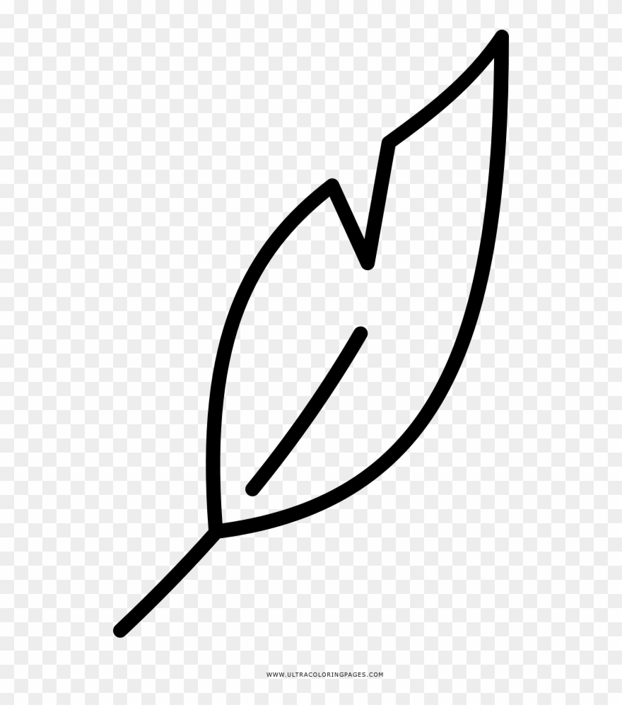 Feather Coloring Page - Line Art Clipart