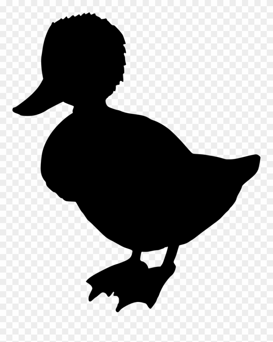 Download Png - Duck Clipart