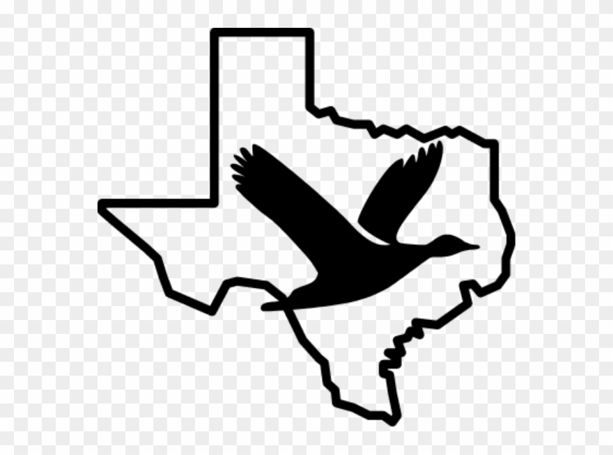 Duck Hunts - Icons San Antonio Clipart