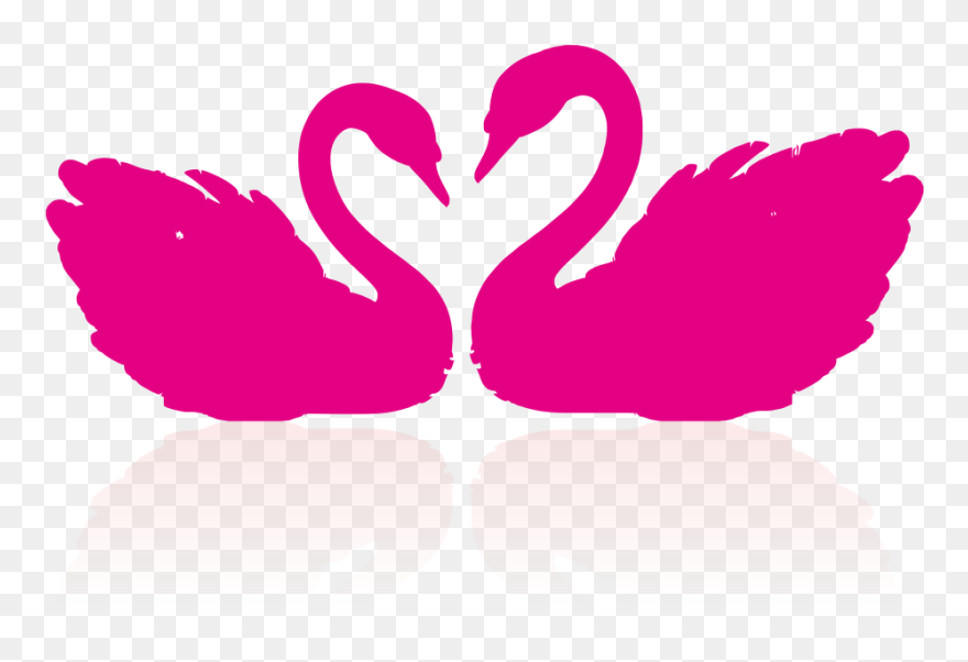 Cygnini Drawing Clip Art - Draw A Couple Swan - Png Download