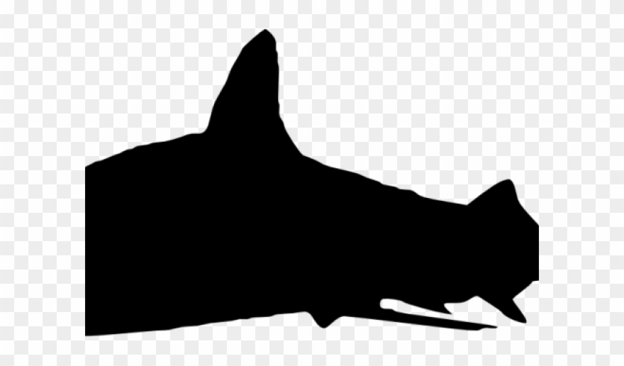 Shark Clipart Transparent Background - Shark - Png Download