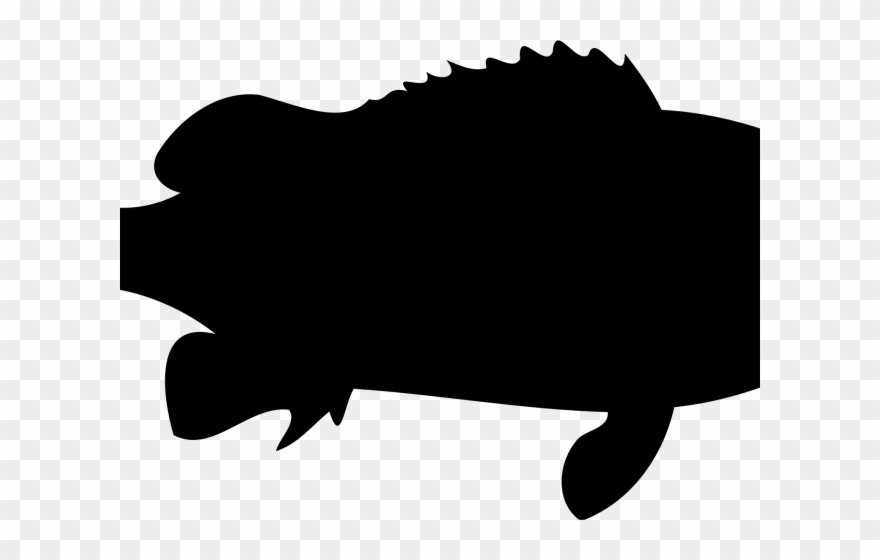Trout Clipart Shadow - Plantilla De Pescado - Png Download