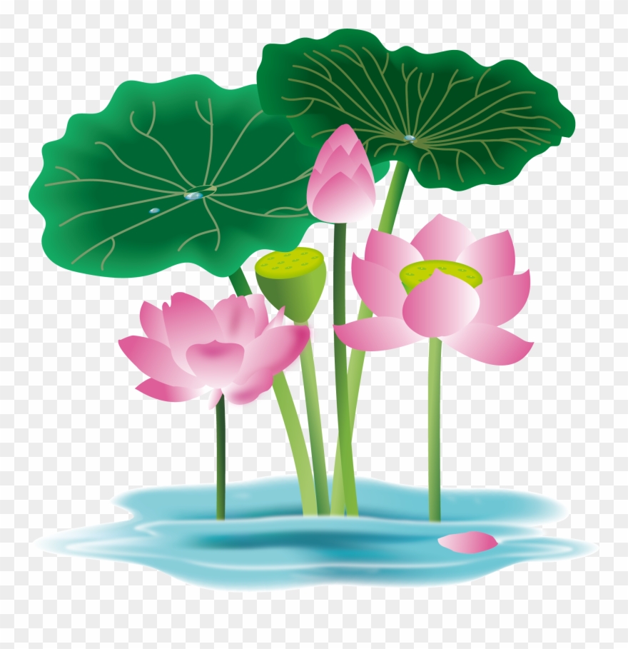 Hand Painted Flower Plant Water Lily Png And Vector - Anthurium Clipart