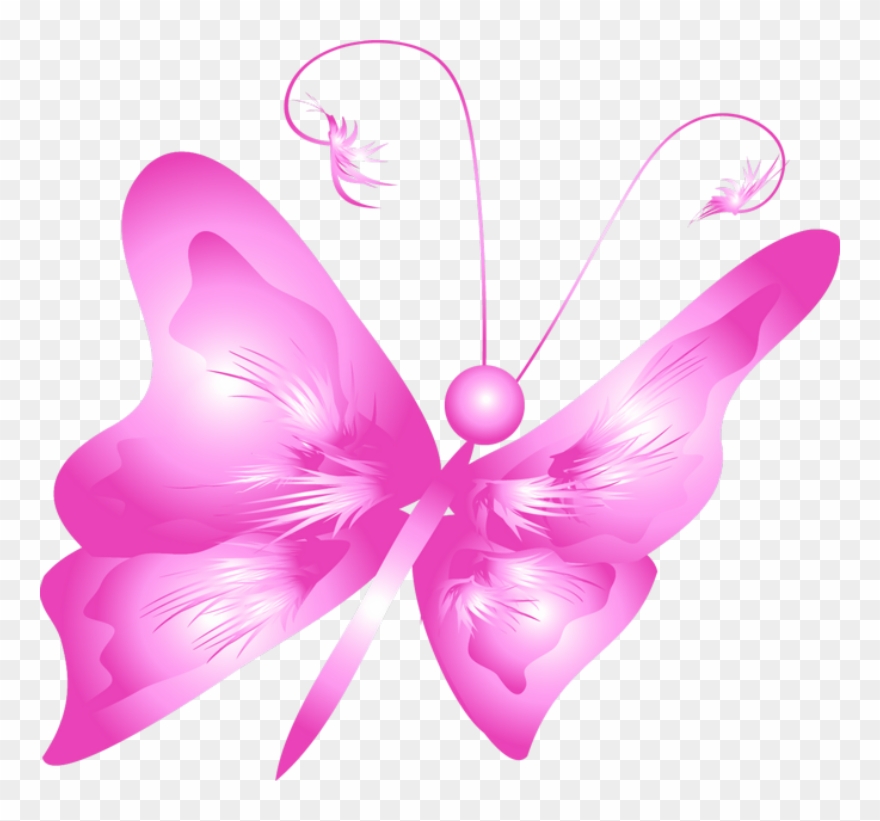 ‿✿⁀butterflies‿✿⁀ - Mariposa Fucsia Dibujo Png Clipart