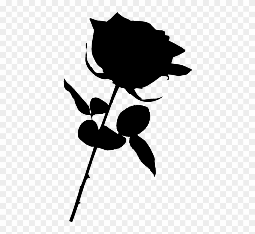 Black Rose Png - Transparent Background Rose Png Clipart