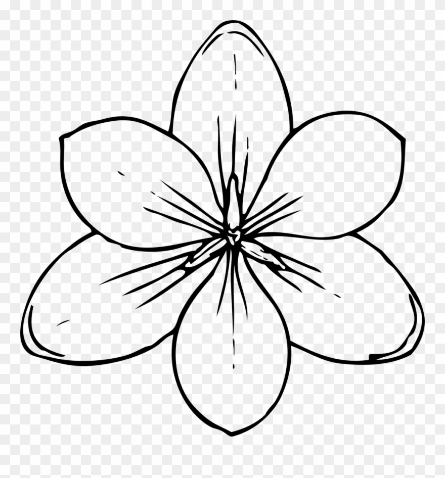 Easy Spring Kayaflower Co - Coloring Pages Of Flowers Clipart